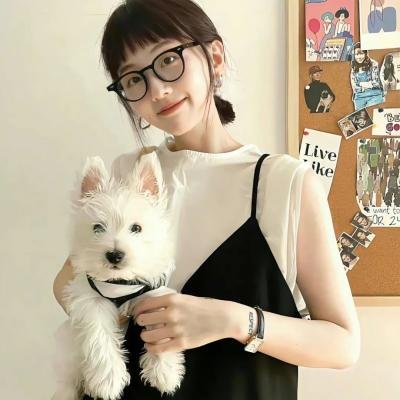 白象:无法之城